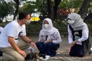 Vaksinasi Kucing di Jakarta, Anies: Tidak Pakai KTP