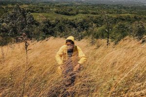 Budug Asu, Wisata Hits di Lereng Gunung Arjuna Malang