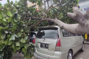 Horor Hujan Angin di Bogor, Pohon Tumbang Timpa Mobil hingga Atap Rumah Beterbangan