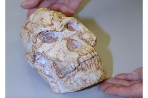 Ilmuwan Buktikan Keberadaan Hibrid Manusia Purba dari 50.000 Tahun Lalu