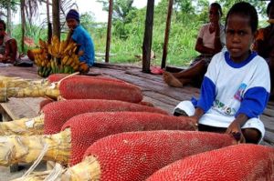 Berkat Digital, Olahan Buah Merah Karya Mamak-mamak Papua Tembus Pasar Nasional