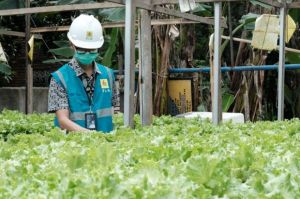 Electrifying Agriculture Tarik Minat Petani Milenial
