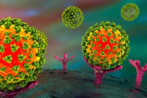 5 Fakta Virus Omicron yang Membuat Dunia Kembali Bunyikan Alarm Bahaya