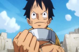 5 Anggota Perompak Topi Jerami Pengguna Haki di One Piece