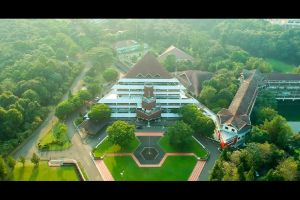 IPB University Kembangkan Krimer Sawit, Masak Rendang Cukup Satu Jam
