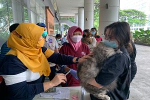 Tekan Penyakit Rabies, Pemkab Tangerang-Lippo Gelar Vaksinasi