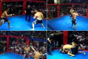 Penampakan Politisi Brasil Duel MMA Brutal Cara Unik Akhiri Sengketa