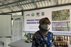 Budidaya Markisa MNC Peduli dan STIE MNC di Bekasi Membuahkan Hasil, Dijadikan Produk Jus Kemasan