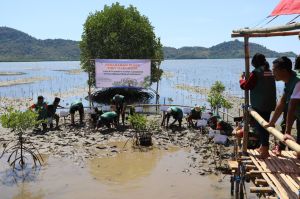 Selamatkan Lingkungan dan Biota Laut,  MPMX Tanam Bibit 10.000 Bibit Mangrove