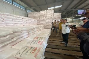 Sambut Musim Tanam, 113.656 Ton Pupuk Subsidi Siap Penuhi Kebutuhan Jabar-Banten-DKI