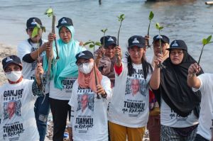 Cegah Abrasi, Nelayan Ganjar Tanam Mangrove Bareng Warga di Lampung