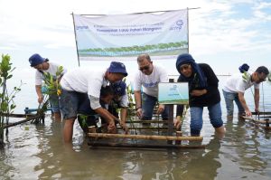 Wujudkan Net Zero Emission, 1.000 Bibit Mangrove Ditanam