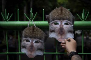 Aksi Damai Menentang Perdagangan Monyet