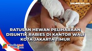 Ratusan Hewan Peliharaan Disuntik Rabies di Kantor Wali Kota Jakarta Timur