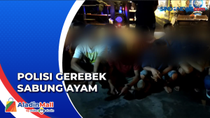 Lokasi Judi Sabung Ayam di Makassar Digerebek Polisi, 32 Pelaku Ditangkap