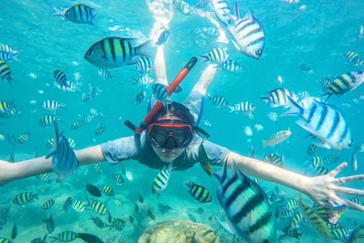 7 Spot Snorkeling Terindah di Kepulauan Seribu, Nomor 5 Masih Alami