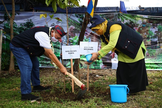 Pemkot Bandung Tanam 6.000 Bibit Pohon Tembakau, Ada Apa?