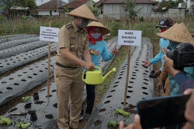 Urban Farming Versi Pemkot Bogor, Begini Penjelasan Dedie A Rachim