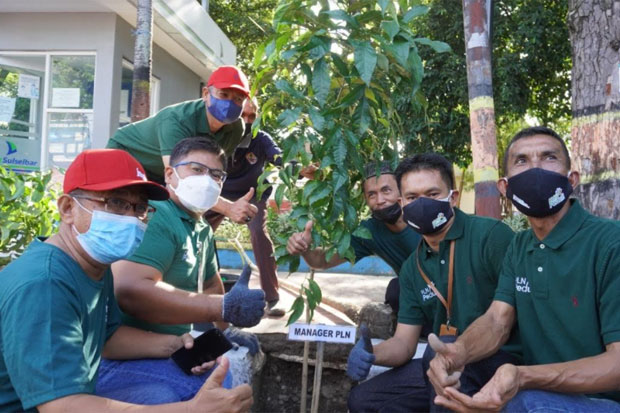 PLN UIW Sulselrabar Tanam 5.000 Pohon di Tiga Kabupaten