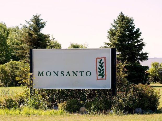 Pakar China Mengaku Bersalah Curi Rahasia Perusahaan AS Monsanto
