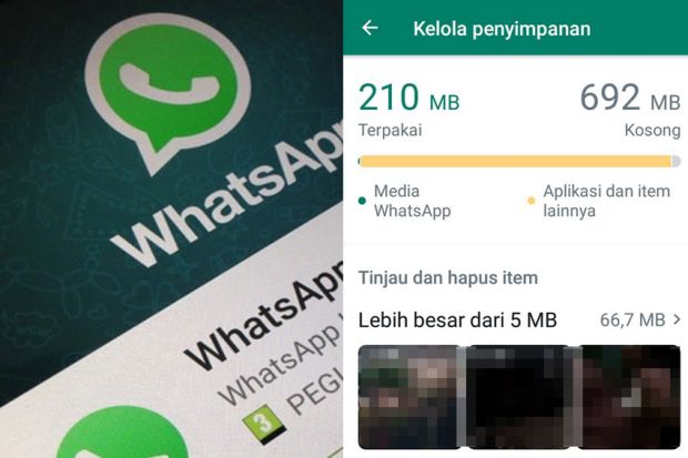 Cara Cepat Membersihkan Cache WhatsApp di Android Biar Ponsel Gak Lemot