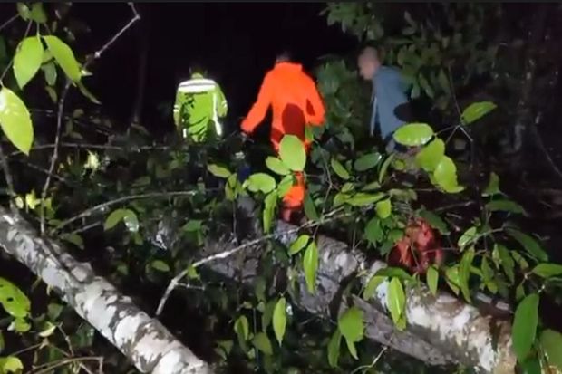 Diterjang Puting Beliung, Pohon Tumbang Hancurkan 2 Rumah Warga Majalengka