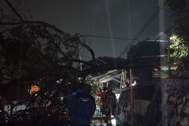 Pohon Tumbang Timpa Kabel Listrik di Ciputat, Percikan Api Bikin Panik Warga