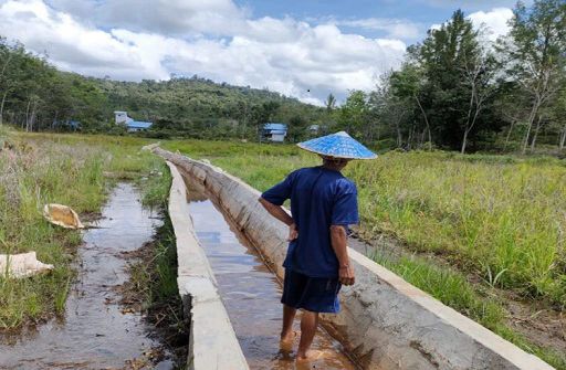 Pengamat Sebut Sektor Pertanian Mampu Kendalikan Inflasi Indonesia di Bawah 3 Persen