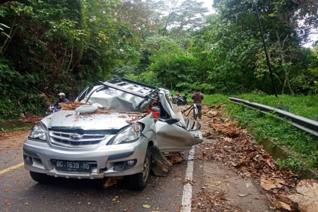 Tragis! Mobil Pemudik Hancur Tertimpa Pohon di Bengkulu, Warga Sumsel Tewas Seketika