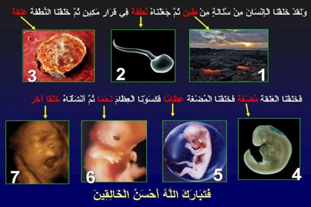 7 Tahapan Penciptaan Manusia, Ini Penjelasan Al-Quran dan Sains