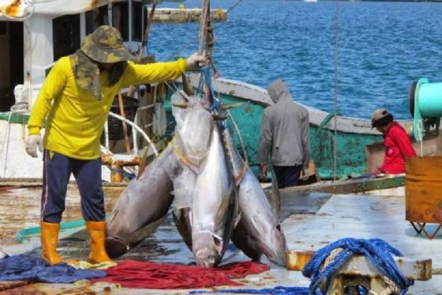 Asosiasi Tuna Indonesia Sebut Penangkapan Ikan Terukur Tak Sesuai UU