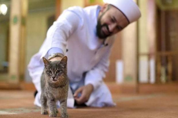 Kisah Ulama Sufi Diampuni Allah karena Selimuti Kucing Kedinginan