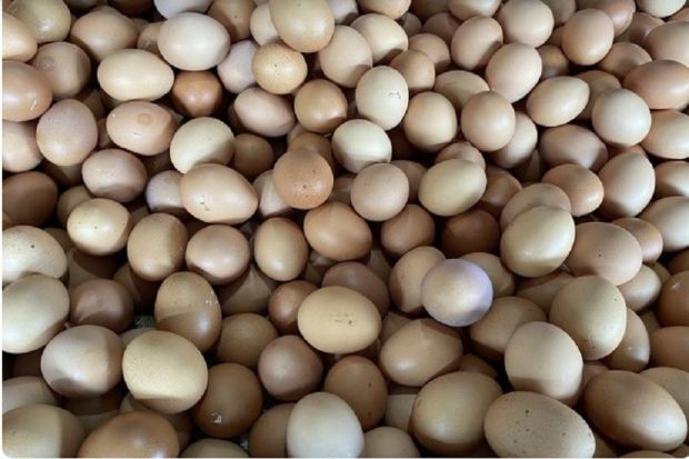 Awal Pekan, Harga Telur di Pasar Cigasong Majalengka Masih di Atas Rp30 Ribu Per Kilogram