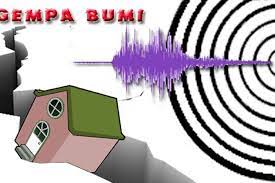 Gempa M4,8 Getarkan Pegunungan Arfak Papua dengan Kedalaman 12 Km