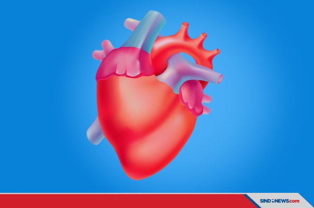 SINDOgrafis: 5 Cara Mencegah Pembengkakan Jantung seperti ...
