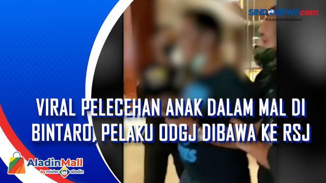 Viral Pelecehan Anak dalam Mal di Bintaro, Pelaku....