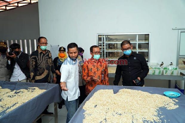 Indonesia Halal Watch Resmikan Rumah Tempe di Bogor