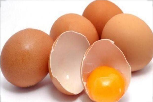 Yuk, Mengenal Lebih Dekat Telur Infertil