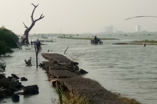 Banjir Rob Demak Mengganas, Warga Dukuh Mondoliko Terisolir