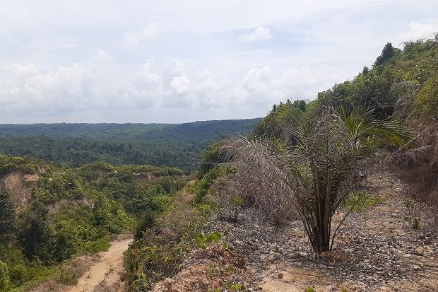 Sengketa lahan di Asahan, Kelompok Tani Pasada Lestari: Itu Hutan Kami