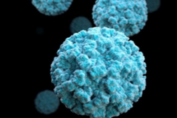 Norovirus, Virus Baru yang Menghantui Rakyat China