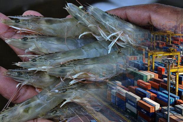 Hasil Uji Residu 5 Tahun Terakhir, Produk Ikan RI Aman Dikonsumsi