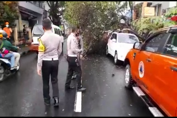 Pohon Tumbang Timpa Mobil Terpakir, Pemilik Histeris