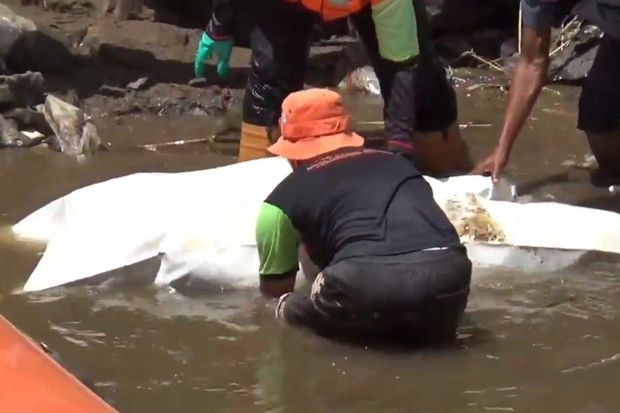 Mayat Wanita Tanpa Identitas Ditemukan Ditumpukan Sampah Kali Ciliwung