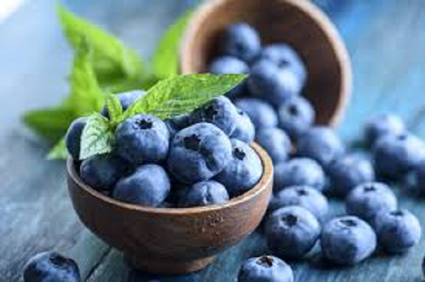 Menurut Ahli Gizi, Ini Manfaat Kesehatan Saat Konsumsi Blueberry