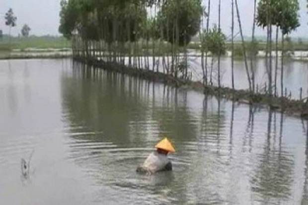 Terdampak Banjir, Pembudi Daya Ikan Dapat Klaim Asuransi Rp425 Juta