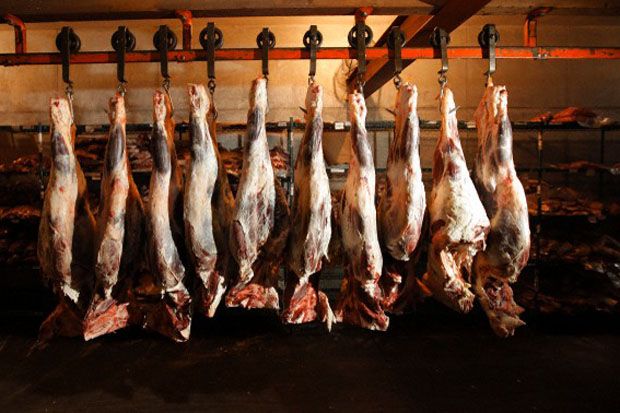 Cek Hasil Pantauan Harga Daging Sapi di Rumah Potong Hewan