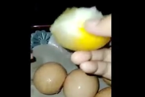 Viral Video Telur Palsu Beredar di Kediri Ini Penjelasannya