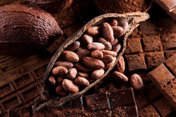 Flavanol pada Cokelat Ternyata Miliki Banyak Manfaat Kesehatan