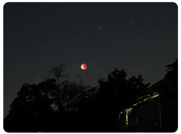 Warganet Antusias Hunting Foto Super Blood Moon dengan Smartphone, Keren Juga Hasilnya...